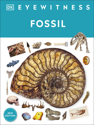cover image of Fossil